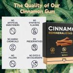 Cinnamon Remineralizing Gum with Hydroxyapatite & Xylitol