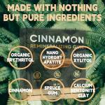 Cinnamon Remineralizing Gum with Hydroxyapatite & Xylitol