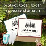 Organic Sugar-Free Remineralizing Chewing Gum, Mint & Cinnamon