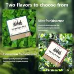 Organic Sugar-Free Remineralizing Chewing Gum, Mint & Cinnamon