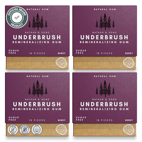 Berry Refreshing Remineralizing Gum – Sugar-Free Xylitol