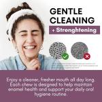 Berry Refreshing Remineralizing Gum – Sugar-Free Xylitol