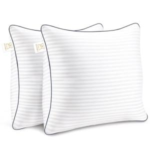Yettbea 18'' Decorative Throw Pillow Inserts - Set of 2