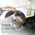 Stanley Degreaser Concentrate - Makes 64 Gallons