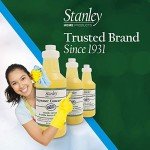 Stanley Degreaser Concentrate - Makes 64 Gallons