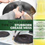 Stanley Home Original Degreaser for Stubborn Grease