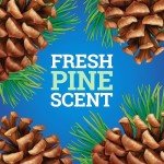 Pine-Sol Original Pine Multi-Surface Cleaner 80 oz