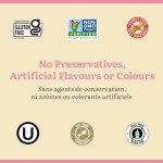 Gluten Free Pizza Crust Gourmet Baking Mix