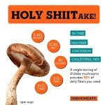 Vegan Shroomeats Mushroom Shred-It - High Protein Meat Substitute