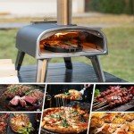 Portable Stainless Steel Wood-Fired Pizza Oven