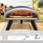 Portable 12" Propane Gas Pizza Oven for Outdoors