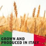 Cento Napoletana Tipo "00" Flour - 11 lbs