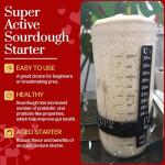 Gluten Free Sourdough Starter for Delicious Pizza