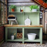 Gozney Roccbox Portable Gas & Wood Pizza Oven