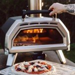 Portable Stainless Steel Wood-Fired Pizza Oven