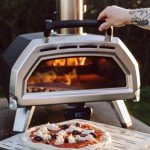 Portable Wood-Fired Pizza Oven for Outdoor Cooking