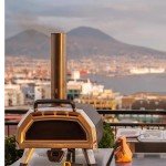 Portable Stainless Steel Wood-Fired Pizza Oven