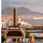 Portable Wood-Fired Pizza Oven for Outdoor Cooking