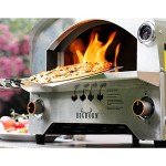Outdoor Propane Pizza Oven with 13" Stone