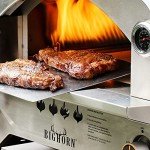 Outdoor Propane Pizza Oven with 13" Stone