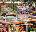 Outdoor Portable Propane Pizza Oven with Rotatable Stone