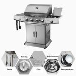 Outdoor Multifunctional Stainless Steel Pizza Grill