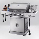 Outdoor Multifunctional Stainless Steel Pizza Grill