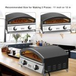 Portable Stainless Steel Gas Pizza Oven - Makes 2 Pizzas