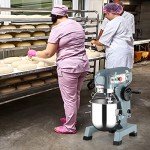 Towallmark Commercial Food Mixer, Commercial Mixer 10QT 450W with Stainless Steel Bowl, 130/233/415RPM 3 Speed Heavy Duty Stand Food Mixer Commercial for Bakery Pizzeria Restaurant