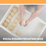 L'Oro Del Sud Commercial Dough Proofing Box Tray with Lid, White, 5 Pack, 23.6" x 15.74" x 2.75", Size Stackable Pizza Container, Bin Resistance to impact, temperature changes, Made in Italy