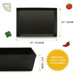 Detroit Style Pizza Pan 10x14x2.5 (Non Stick without BPA) Replace lloyds Pizza Pan, Pre-Seasoned Detroit Authentic Pizza Pan, Hard Anodized Detroit Deep Dish Pizza Pan Two Years Free Replacement
