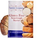 Gluten Free Sourdough Starter for Delicious Pizza