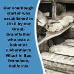 San Francisco Sourdough Starter - Family Recipe Care