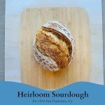 San Francisco Sourdough Starter - Family Recipe Care