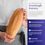 Gluten Free Sourdough Starter for Delicious Pizza