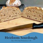 San Francisco Sourdough Starter - Family Recipe Care