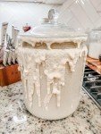 Southern Sourdough Co. Dehydrated Starter for Beginners