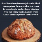 San Francisco Sourdough Starter Pack for Baking