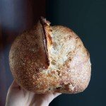 Breadtopia Organic Live Sourdough Starter - Ready to Use