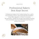 Organic Diastatic Malt Powder for Pizza Making