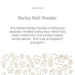 Organic Diastatic Malt Powder for Pizza Making