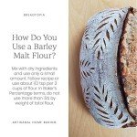 Organic Diastatic Malt Powder for Pizza Making