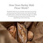 Organic Diastatic Malt Powder for Pizza Making