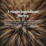 Diastatic Malt Powder for Perfect Pizza Dough