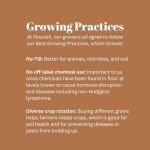 Diastatic Malt Powder for Perfect Pizza Dough