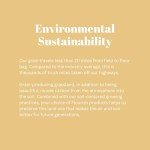 Diastatic Malt Powder for Perfect Pizza Dough