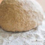 Diastatic Malt Powder for Perfect Pizza Dough