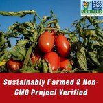 Mutti Pizza Sauce with Basil & Oregano - 6 Pack