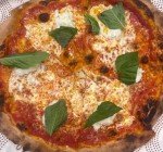 Variety Pack of Carbone Pasta Sauces (4-Pack)