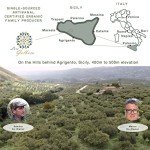 Sicilian Extra Virgin Olive Oil - Organic, 16.9 fl oz